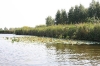 NIEUWKOOP 09-2008 204.JPG